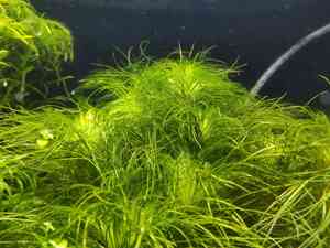 0 02 0a 5c48de08256ff8c4687390afc8f957405945fb1595c6d7a9a8c26b55aa87672f 5ef9708f