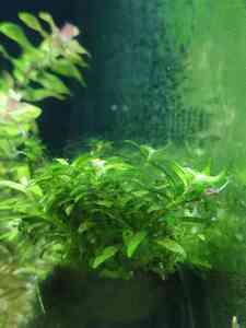 0 02 0a b2771efebdf8ad3feddb9dd4b0be1f536fc103db3ccac91b538d3fee6f5b65cb 36f9a776