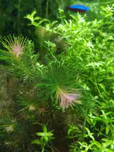 0 02 0a 9f83a2028bf1eac409be74e98fc8304102a22a7e67e914bc139cfedfd5a63bc7 23990eda