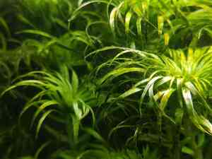 0 02 0a 1e9f82767ad4dfbdf3db4bf99b2fe4abb7ba5a1a1142b3eb6094baacc2167a5d 468af9c7