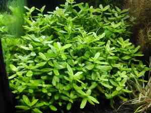 0 02 0a 5caaf17c10f3cc7d8551616c5a956d431cb76bf21b54871307402a86a01806e7 464abb8f