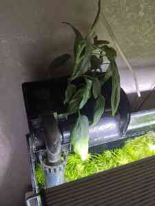 0 02 05 5ffc58df0bbaeb1ebf780d61750886cfea7a2c93c0fe7f81a5a6c9ce3f38e051 5a3013df