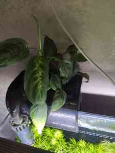 0 02 05 9250486ee1f127279ceeec1aa04b42209075b25e33d5787415454e473bfff335 858dd631