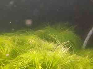 0 02 0a c924dd5f82e85b97adc8ca3c32601e777970a93b1fa29b05c74819cbf2b69c9e 62a930a8