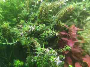 0 02 0a 26d8179298435295f4a8fab8a0ba622c72c509d959576fb1a9f1582637e5bbe0 f7f42b5f