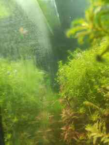 0 02 0a 787a56ff3a1b77e848dc53bcb3b7bcfb6355d18d2eabc1560241ac6f3c0f185f d0845b71