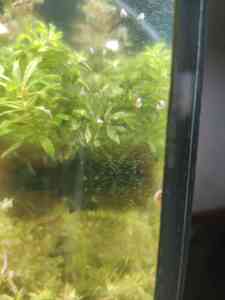 0 02 0a 2b61eeb50aa97122a8552cc83d572d8d8c52c9bfd0f1439a39b82ced478145a4 442f265d