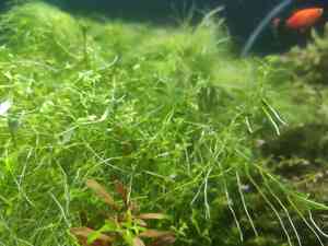 0 02 0a 2473f201eff4fdc8689d7f5324cb2d35a3486ac5f44ef3a8bdb67af77e5e2f63 e3daf378