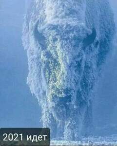 FB IMG 1608356707706 FB IMG 1608356707706