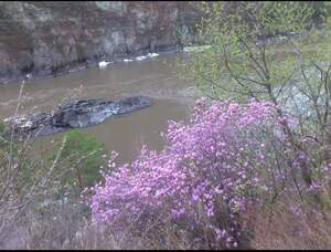 FB IMG 1620115949287 FB IMG 1620115949287