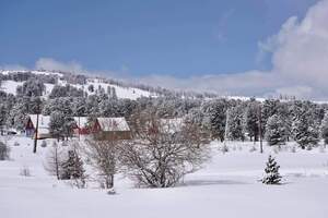 FB IMG 1620115994375 FB IMG 1620115994375