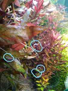 InkedP01122 092345 LI