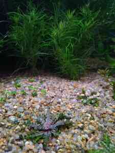 P01201 201914 P01201 201914