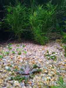 P01201 201909 P01201 201909