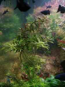 P01205 112358 P01205 112358