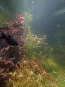 IMG cbd497bbf31559aaee7ba7669d95875d V IMG cbd497bbf31559aaee7ba7669d95875d V