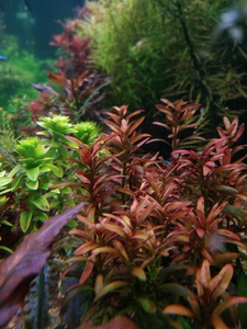 P10101 190220 P10101 190220