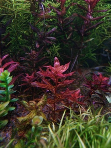 P10101 190316 P10101 190316