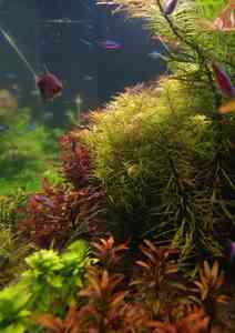 P10101 190248 1 P10101 190248 1