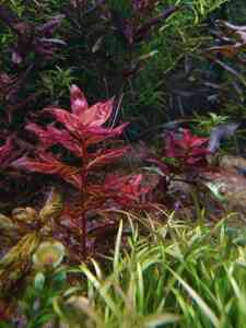 P10101 191612 P10101 191612