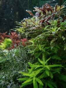 P10102 135449 P10102 135449