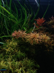 P10104 124046 P10104 124046