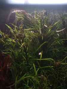 P10111 221247 P10111 221247