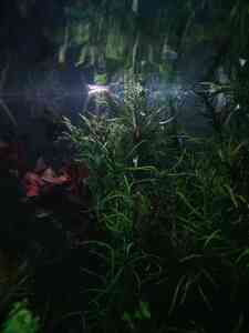 P10111 221310 P10111 221310