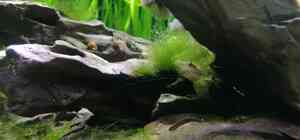 IMG 20200930 131346