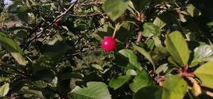 IMG 20200608 061707 resize 84