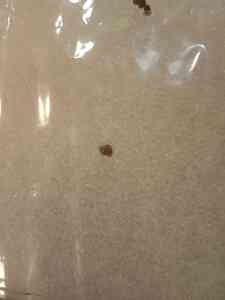IMG 20201206 195115