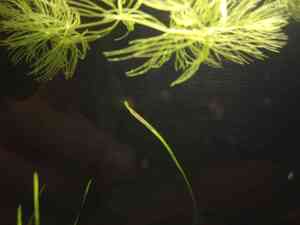 IMG 20201221 202614