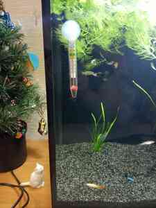 IMG 20201221 203913