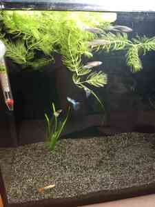 IMG 20201221 203832