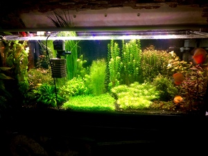 E16C850E 5BA0 49FF 840A 8AD65B18CA0B E16C850E 5BA0 49FF 840A 8AD65B18CA0B