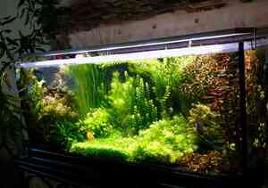 CD664AE5 F8AB 43E4 8DD4 6E58CC0E5FC4 CD664AE5 F8AB 43E4 8DD4 6E58CC0E5FC4