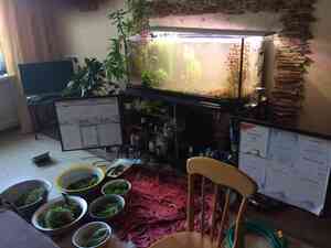 7E783A40 E610 42B6 9D76 C787EA7EEDF8 7E783A40 E610 42B6 9D76 C787EA7EEDF8