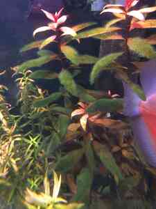 camphoto 1254324197