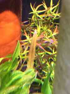 4FC1E1C4 5B97 46BE 89C9 94298E29623D