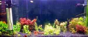 0D298111 3DBD 4BE8 9205 BACCC7860919