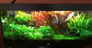 3D02ACBF F245 4EED BC0D A0D8C1217547