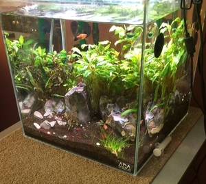 D445D71D BDDF 4D80 BEFA 4727D78FA827