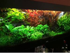 CCC13518 1F52 444B 851F 209DC94422C3