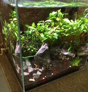 2B47B185 B174 4A2C BBC7 CD23D44F91F0