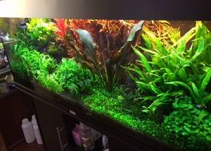 6AFE83EA 35CE 4C6F 83C2 5BC2FDD1EABD