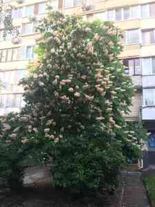 82F3D065 2C40 4F5E 9C5A BC5B600BB2E4 82F3D065 2C40 4F5E 9C5A BC5B600BB2E4