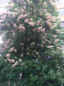 8CB363C4 765A 4D10 AB91 604776EDF4F9 8CB363C4 765A 4D10 AB91 604776EDF4F9