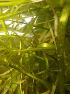 IMG 20201130 164933