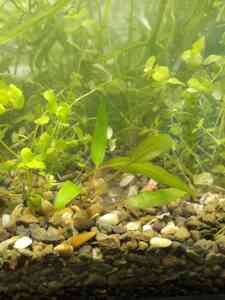 IMG 20201204 155941