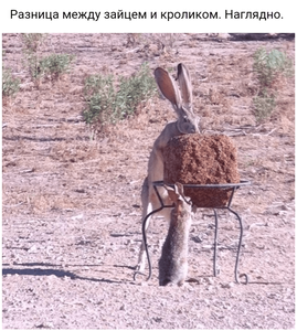 Screenshot 20201226 112326~2